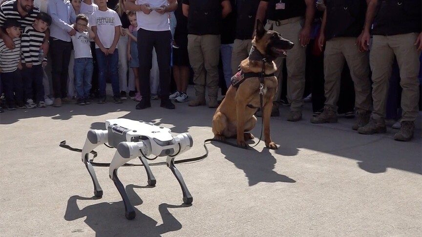 TEKNOFEST Şanlıurfa'da dedektör köpek ile robot köpek gösterisi yaptı